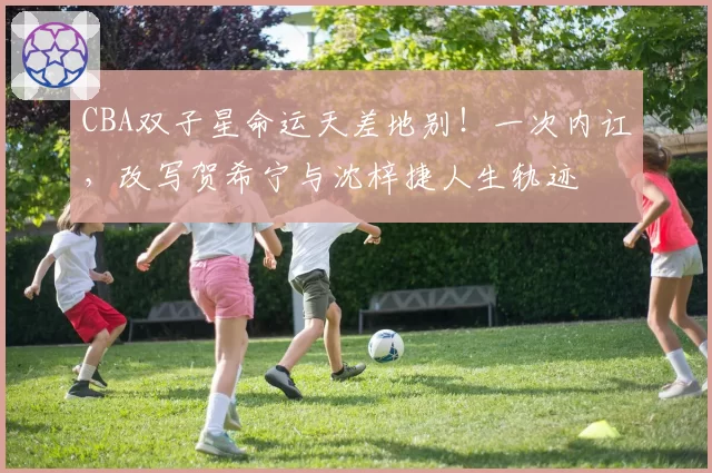 CBA双子星命运天差地别！一次内讧，改写贺希宁与沈梓捷人生轨迹