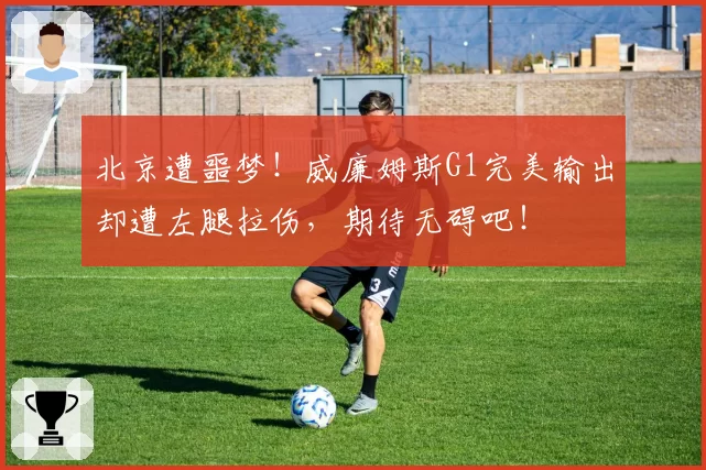 北京遭噩梦！威廉姆斯G1完美输出却遭左腿拉伤，期待无碍吧！